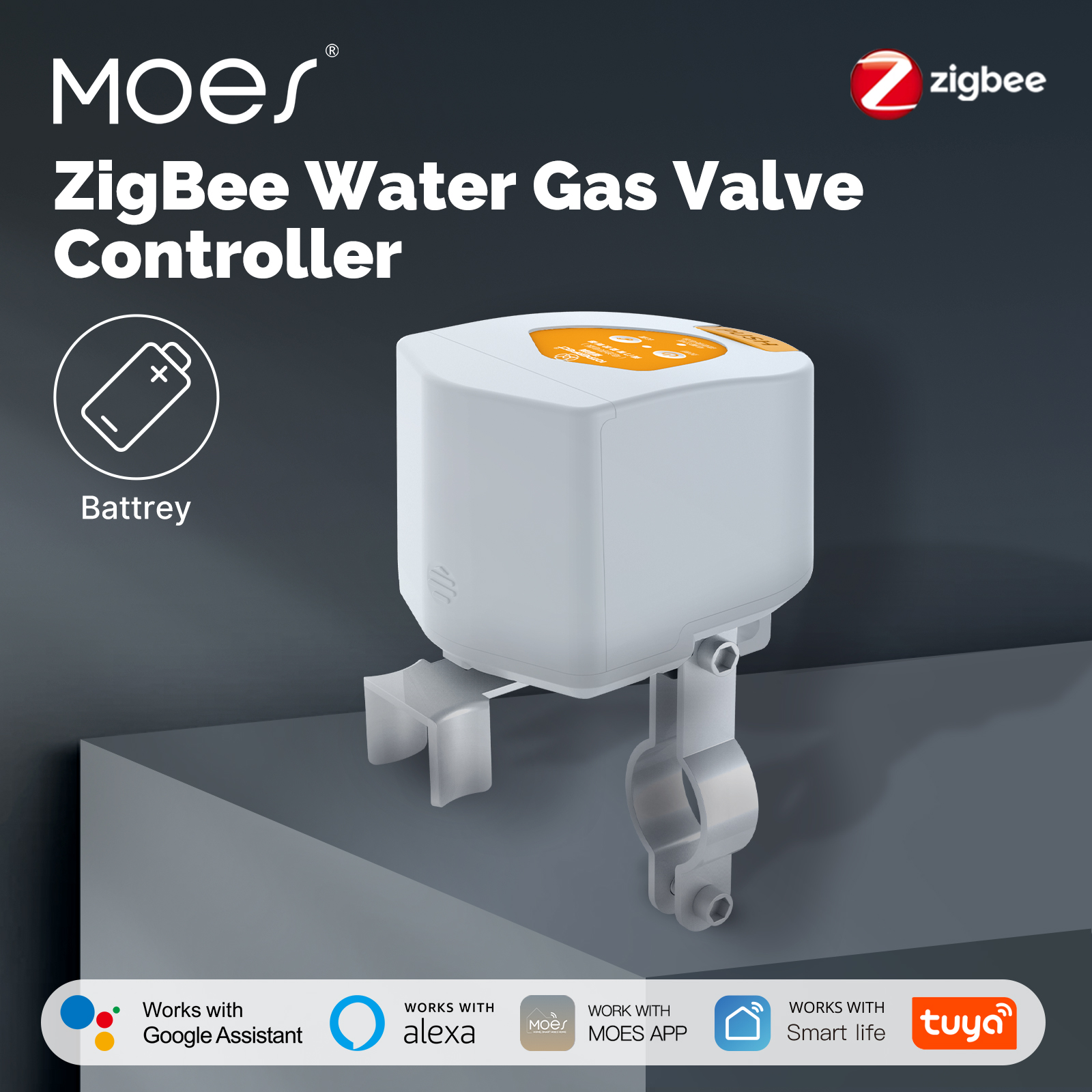 MOES Tuya ZigBee Smart battery - Matter Hub Thread 리뷰 및 가격