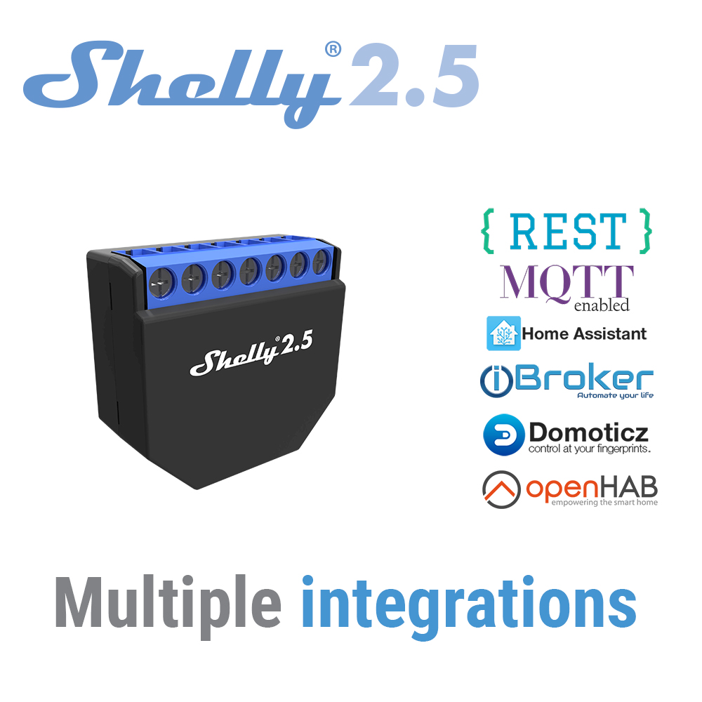 Shelly 2.5 Smart Home Double R - Shelly Relay Module 리뷰 및 가격