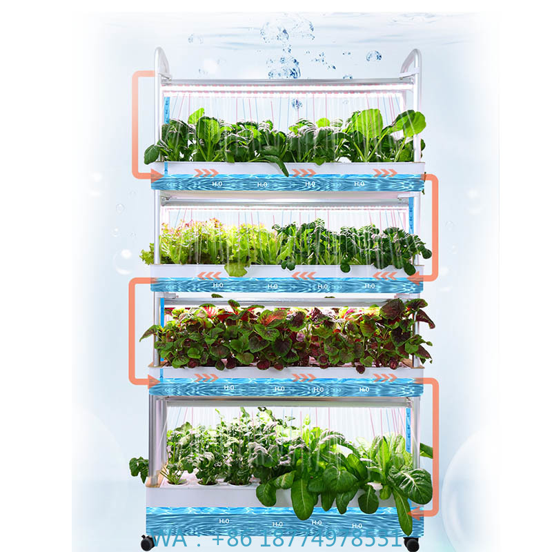 ydroponic Planting System Smar - Home Automation System Diy 리뷰 및 가격