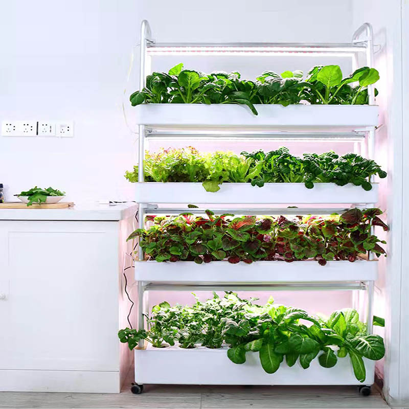 ydroponic Planting System Smar - Home Automation System Diy 리뷰 및 가격