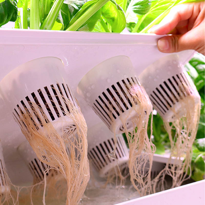 ydroponic Planting System Smar - Home Automation System Diy 리뷰 및 가격