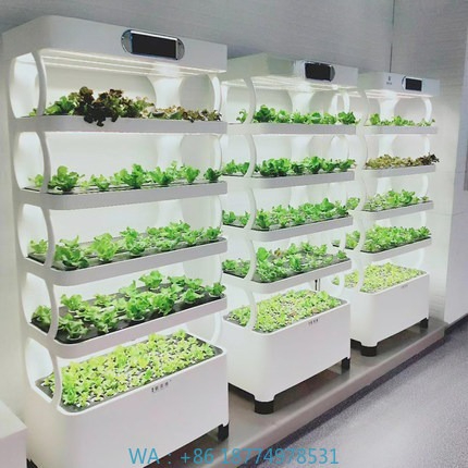 Hydroponic Automated Grow Syst - Home Automation System Diy 리뷰 및 가격